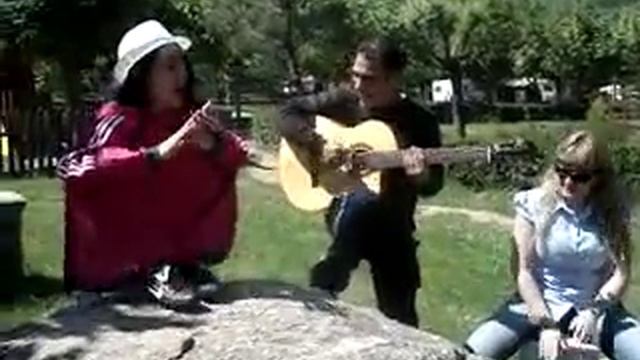 manu pokemon flamenco.mp4 смотреть онлайн