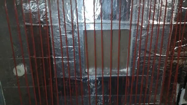 ЗИП для ИНКУБАТОРА. Увлажнение и углеродный шнур. смотреть онлайн