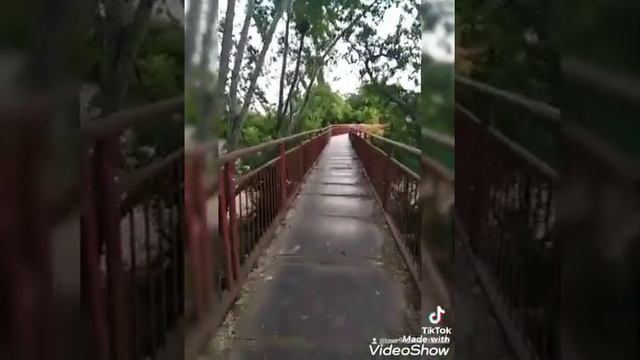 Чечня-Ачхой-Мартан