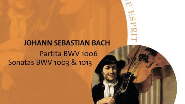 Sonata for Flute in A Minor, BWV 1013 (Arr. for Violoncello Piccolo in G Minor) : I. Allemande смотреть онлайн