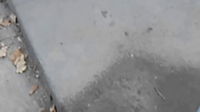 Насос для опрыскивателя смотреть онлайн