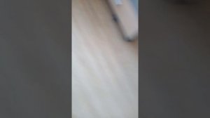 В комнату к родителям залетела оса