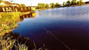 КОГДА НАШЕЛ ОКУНЯ наноджиг и китайская ларва, рыбалка на сельском пруду