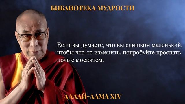 Мудрые Цитаты Далай-Ламы. Жизненные Советы от Духовного Лидера Тибетского Буддизма смотреть онлайн