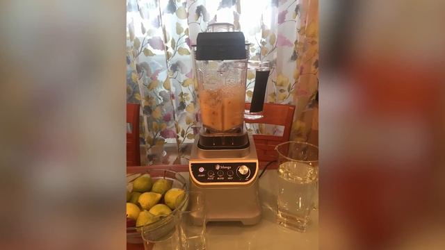 Блендер Silanga BL1500 PRO