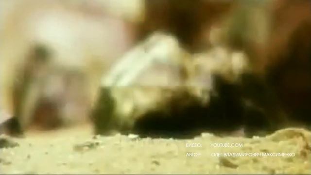 10 ФАКТОВ О ХИМИИ смотреть онлайн