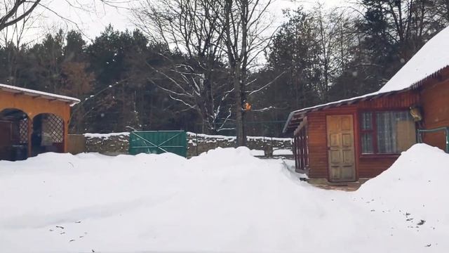 Семейная поездка в Беловежскую пущу. смотреть онлайн