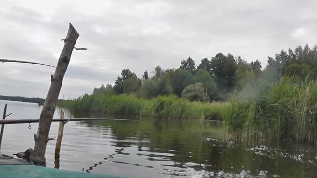 Ловля карася с лодки в камышах смотреть онлайн