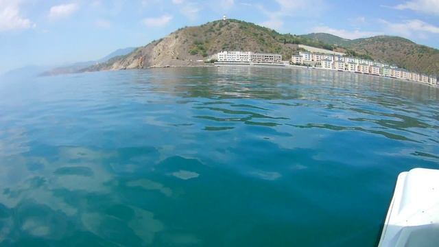 дельфин встреча в море смотреть онлайн