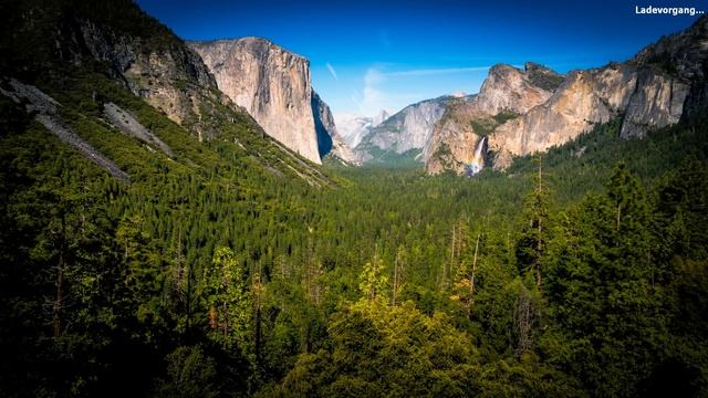 FORSTMASCHINEN: Profis im Wald #2 - Der Bug im Forstsimulator! I Timber! The logging experts смотреть онлайн