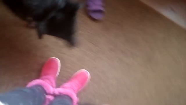 Алекс дома вика нашла смотреть онлайн