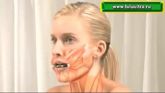 Как работают мышцы лица и шеи при занятиях с тренажером смотреть онлайн