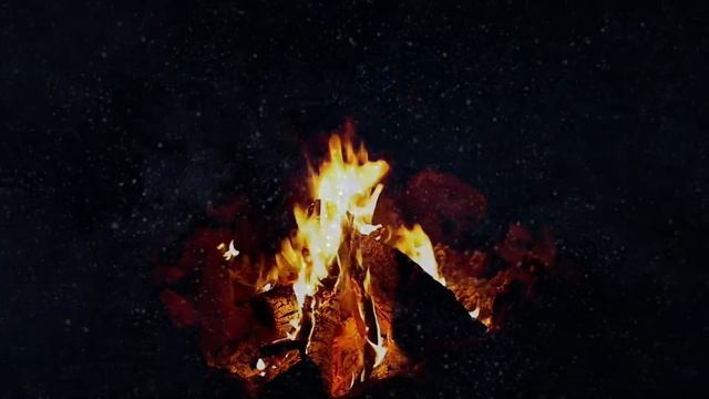 Стихи: Человеку надо мало... стихи: Роберт Рождественский смотреть онлайн