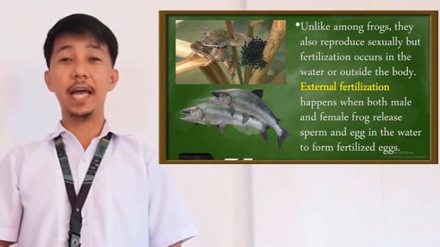 Modes of Reproduction in Animals смотреть онлайн