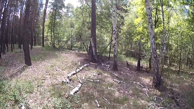 Как выйти из леса. Я иду домой. смотреть онлайн