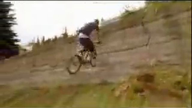 New world Disorder 6 смотреть онлайн