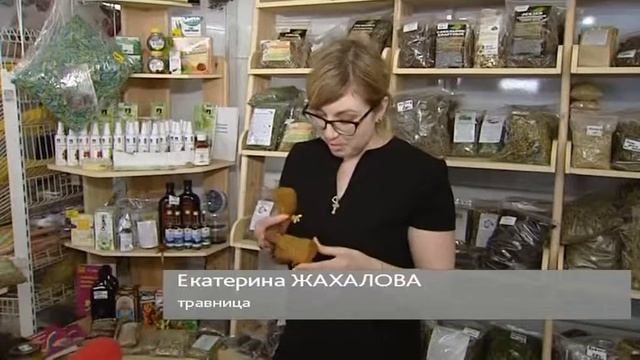 Чайный гриб: советы по применению от югорских травников смотреть онлайн