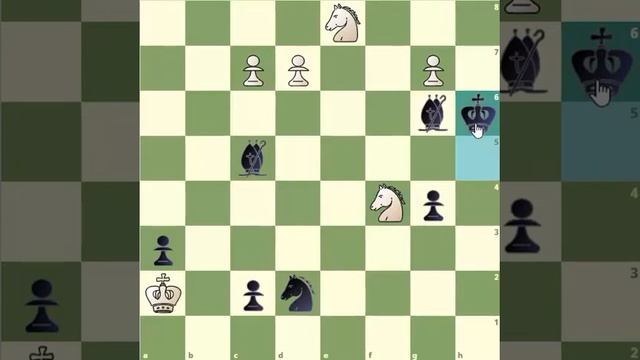 Конский этюд Буденного: красиво, изящно ставим мат черным смотреть онлайн