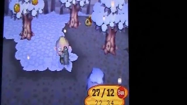Animal crossing Wild world special fish and bugs смотреть онлайн