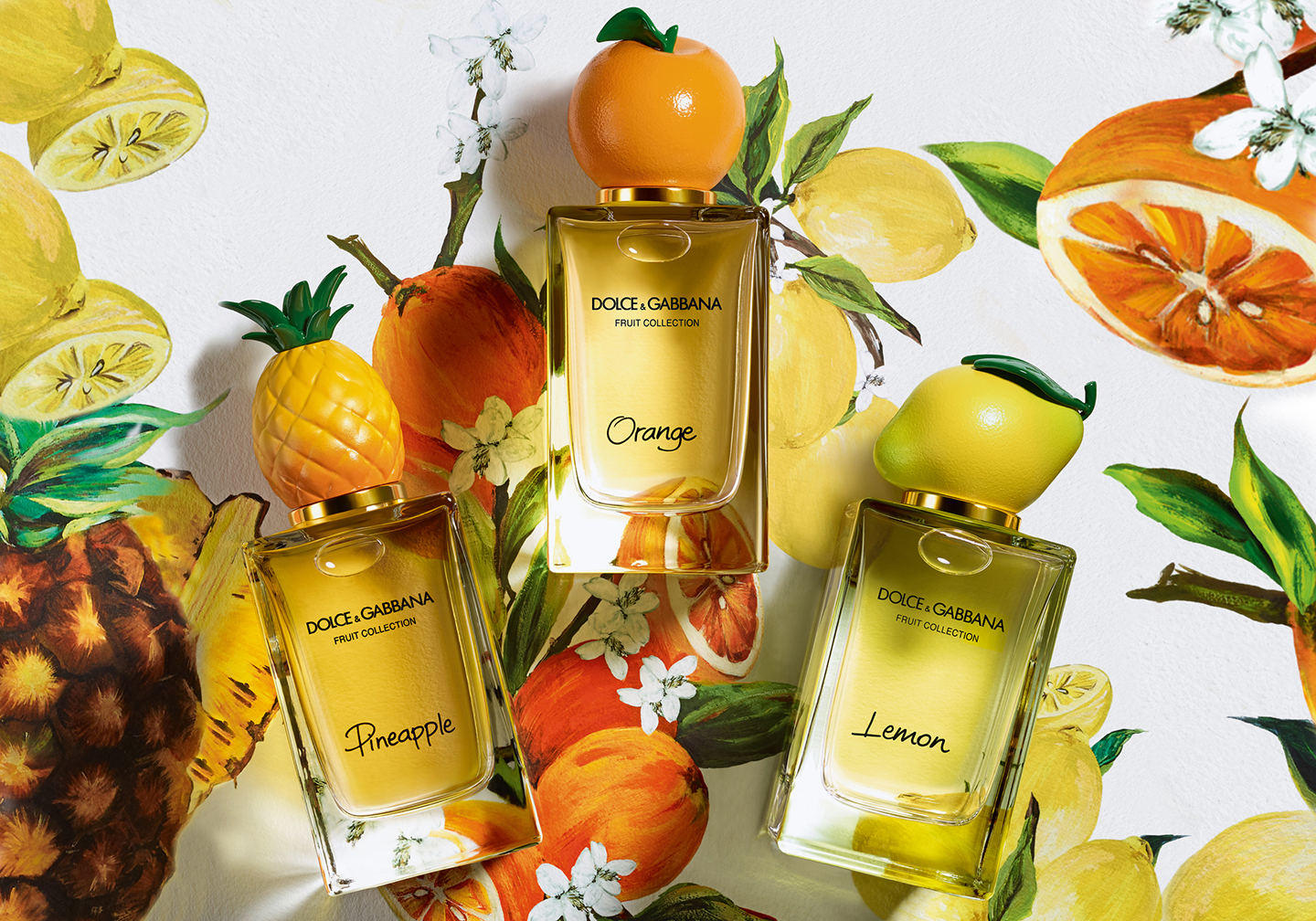 Dolce & Gabbana Pineapple
Dolce & Gabban Orange
Dolce & Gabban Lemon