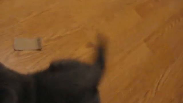 Gatsby's playing смотреть онлайн