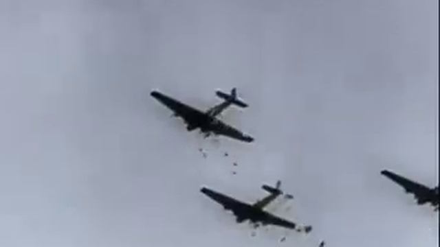 «Пинки и Брейн» на немецком смотреть онлайн