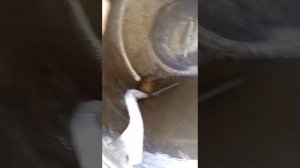 Просто  и легко, способ очистки бетономешалки!!