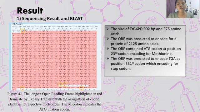 67984- Fyp Slide presentation video смотреть онлайн