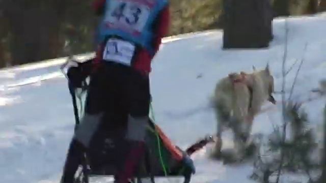Просто Зимняя Сказка смотреть онлайн