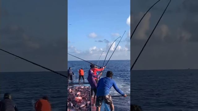 VID_20221201_131902_868.mp4