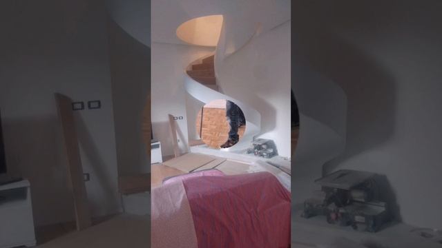 SIAMO A VOSTRA DISPOSIZIONE ? смотреть онлайн