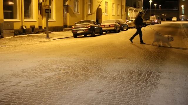 Финляндия Большая новогодняя поездка в январе 2016 смотреть онлайн