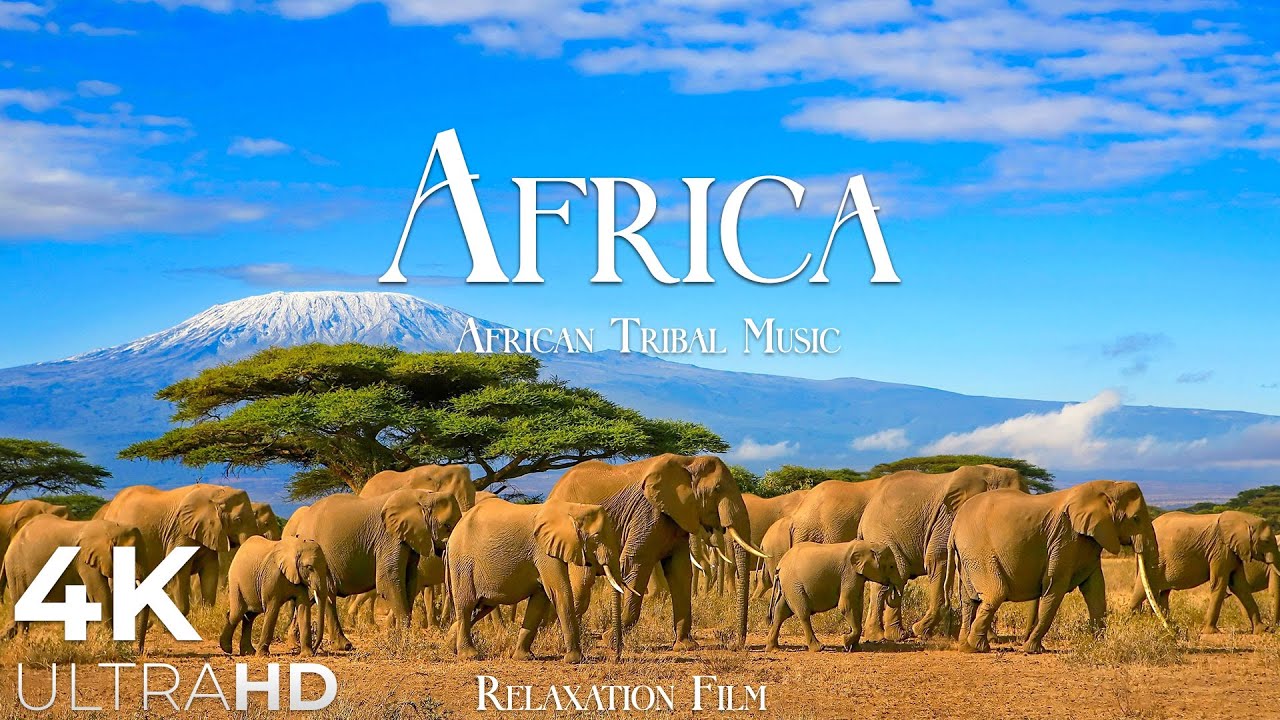 Africa AMAZING wildlife African Tribal Music, Native Music _ Nature Sound 4K Relaxation Film смотреть онлайн