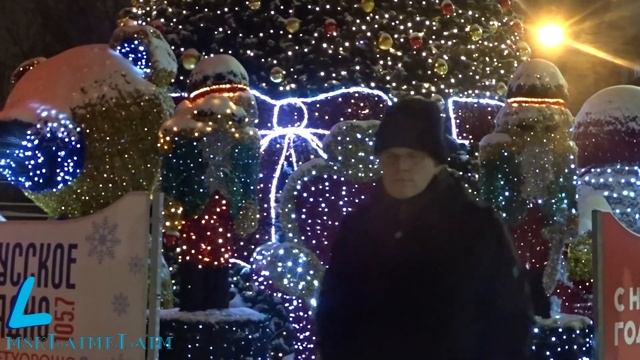 Новогодняя елка и свин у московского зоопарка смотреть онлайн