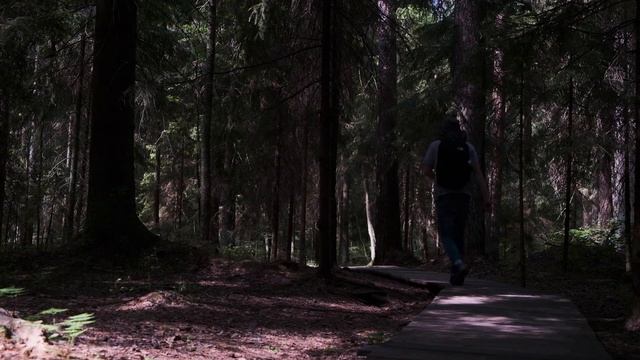 Комаровский берег | Одиночный поход | Экотропа | Хайкинг смотреть онлайн