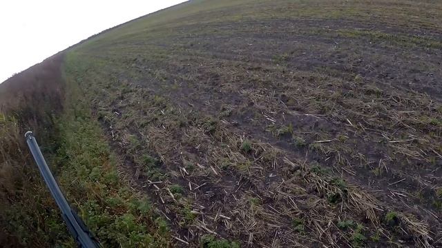 ОХОТА НА УТКУ С ПОДХОДА по канавам. Охота на утку осенью смотреть онлайн