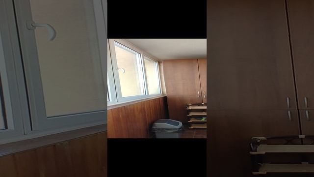 VID_20231121_104325.mp4 смотреть онлайн