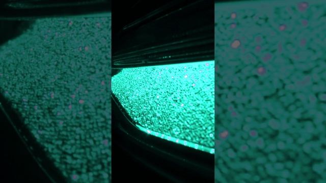 Подсказка 1 смотреть онлайн