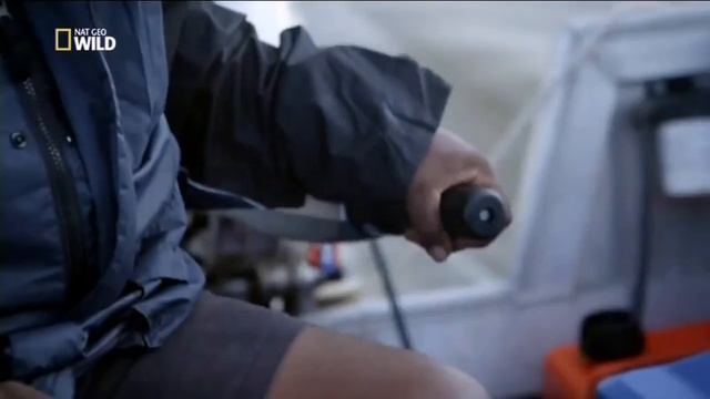 Удивительная природа барьерного рифа Австралии! HD