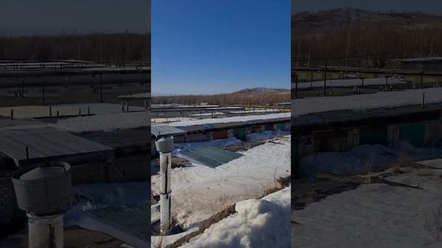 Кулинарное Путешествие