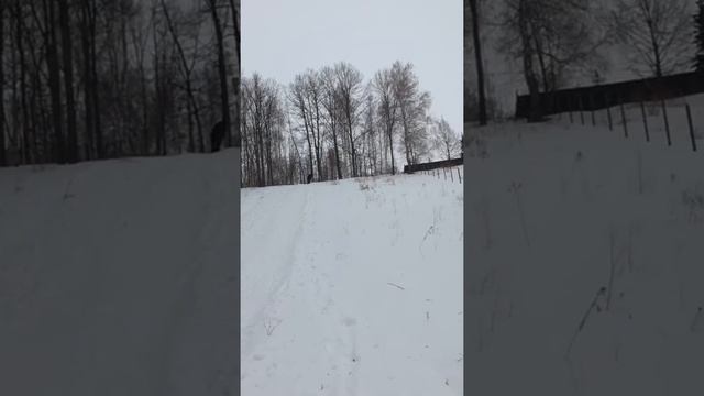 Ржачный комментатор на соревнованиях смотреть онлайн