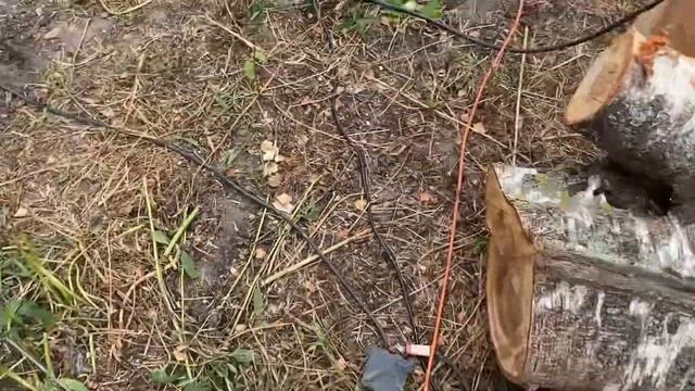 СКОЛЬКО СТОИТ ОБОРУДОВАНИЕ ДЛЯ БУРЕНИЯ АБИССИНСКИХ СКВАЖИН смотреть онлайн