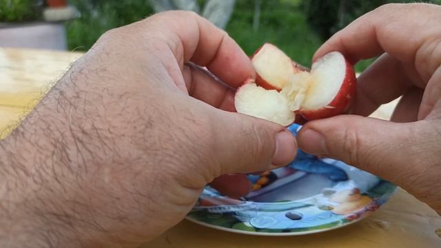 Инжирный нектарин Донат. смотреть онлайн