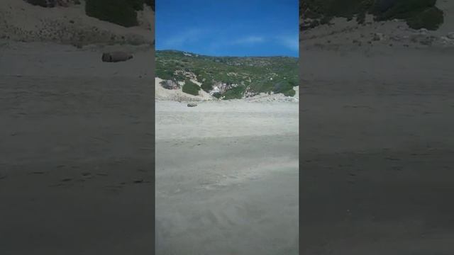 ?PATARA PLAJI ( Patara Beach ) ? смотреть онлайн