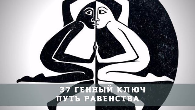 37 генный ключ. Путь Равенства. Free-вольные чтения. смотреть онлайн