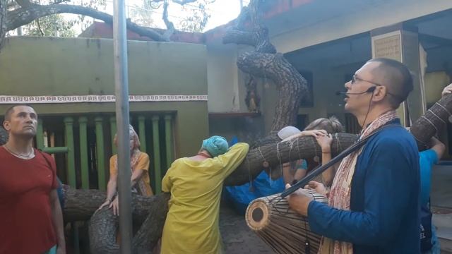 22.10.2019, Пури, Катха у Сиддха-бакула, Кришна Мишра дас смотреть онлайн