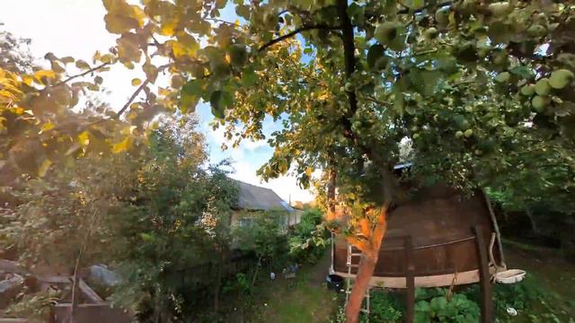 Сад! Под балалайку смотреть онлайн