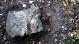 похоронил собаку