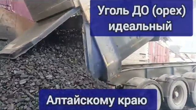 Уголь ДО орех ДПК ДР Пермяки от 30т Идеального качества Кемерово Томск Новосибирск Бврнаул смотреть онлайн