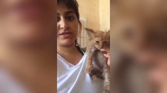 Котёнка окунули в горючее? Как мы его спасали? смотреть онлайн